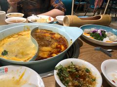 -青瓷火锅料理(西单大悦城店)