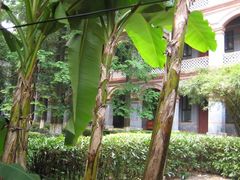 -华东政法大学(松江校区)