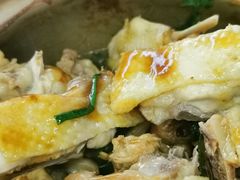 -顺德公平靓正特色牛花粥(花都店)