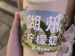 -猫的魔法密林(衣裳街店)
