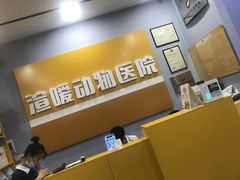 -渲嗳动物医院(异宠·复杂内科转诊中心·玖洲道富华里分院)