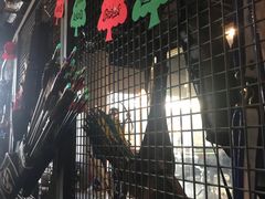 -i彻射箭俱乐部(新光界店)
