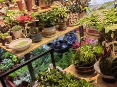 -花鸟鱼虫鲜花绿植市场(玉泉路店)