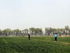 -西青郊野公园