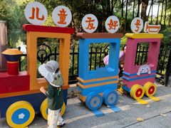 -合肥滨湖国家森林公园