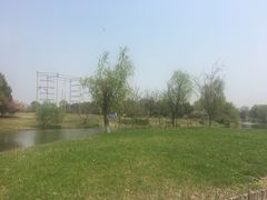 -梁鸿国家湿地公园