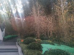 -乌山风景区
