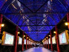 -广州长隆国际大马戏