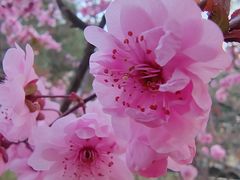 -长辛店二七公园