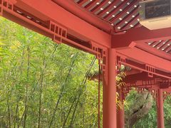 -望江楼公园