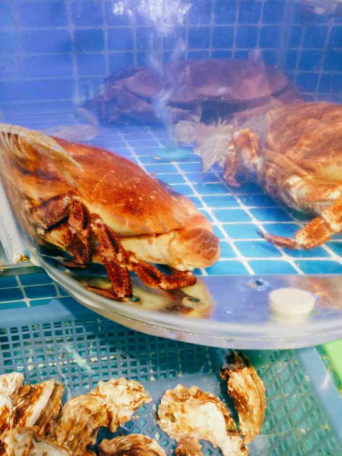 连岛2018海洋大排档(连岛店)-"国庆节朋友们开车出来逛逛,这家海鲜馆