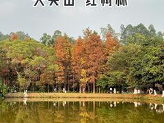 -番禺大夫山森林公园