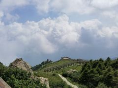 -白草畔自然风景区