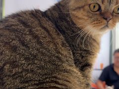 -纳吉亚猫专科动物医院博雅分院