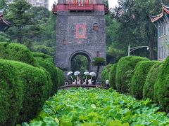 -四川大学(华西校区)