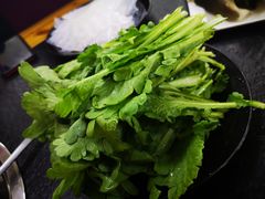 -新乡杨记红焖羊肉火锅(天坛南门店)