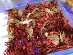 -全盛自助烤肉(大商新玛特鞍山店)