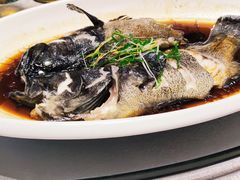-最佳西方金华世贸大饭店
