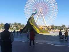 -七彩云南欢乐世界