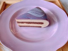 -Husky Go! 哈士奇体验馆·宠物咖啡厅狗咖