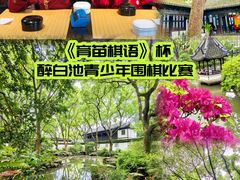 -上海醉白池公园