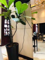 -Hello Lady发型设计