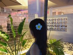 -西双版纳原始森林公园