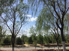 -永定河休闲森林公园