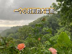-广州市白云山风景名胜区