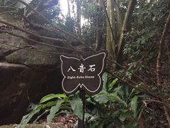 -福清灵石山国家森林公园