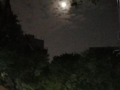 中秋节的月亮-友德福.老字号粤菜.广州地标融合美食(荔湾路店)
