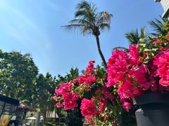 -海南清水湾莱佛士酒店