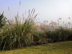 -金海湾滨江公园
