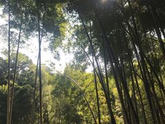 -杭州黄龙洞
