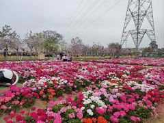 -盈香心动乐园