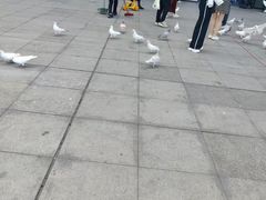 -万达广场(东莞东城店)