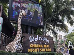 -清迈夜间动物园