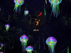 -珠海海泉湾神秘岛亲子乐园