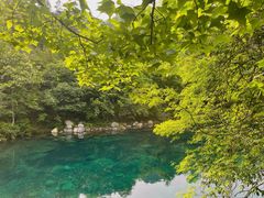 -石台牯牛降景区