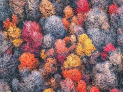 -罗红摄影艺术馆