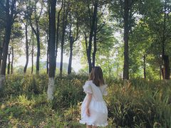 -眉山湿地公园(东坡区)