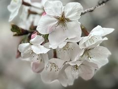 -上海南浦大桥长途旅游客运站