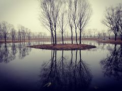 -大兴滨河森林公园