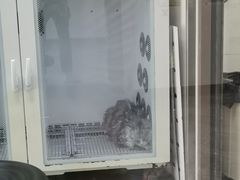 -安安宠医·普外科·内科·心超(佛山同济分院)