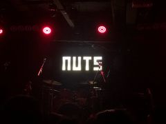 -坚果NUTS