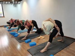 -兴亚瑜伽20年老馆