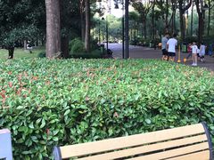 -苏州河梦清园环保主题公园