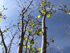 -北京京宝行宝马4S店(闵庄路店)