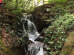 -莫里热带雨林景区