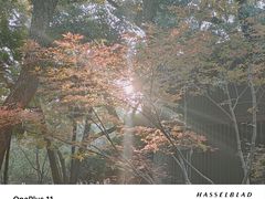 -东湖生态旅游风景区